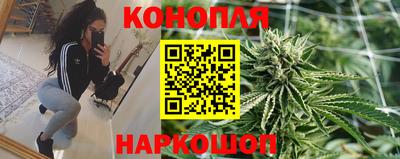 эйфоретик Аргун