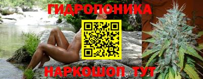 эйфоретик Аргун