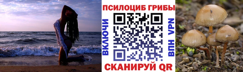 Псилоцибиновые грибы MAGIC MUSHROOMS hydra вход Усть-Лабинск